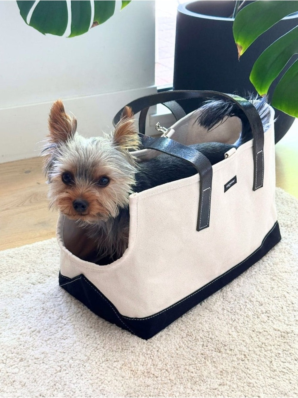 Wagwear Carpenter Small Dog Carrier Tote in Cream with Black Trim